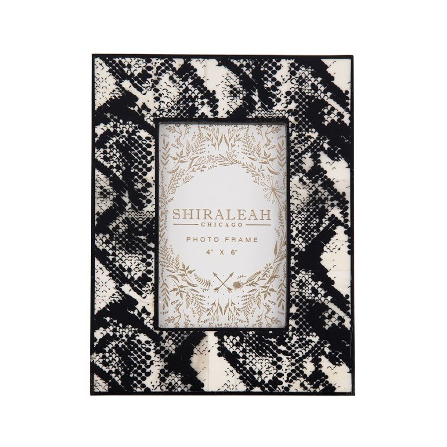 Shiraleah Shiraleah Paris Snake Print 4 X 6 Picture Frame, Black | Home