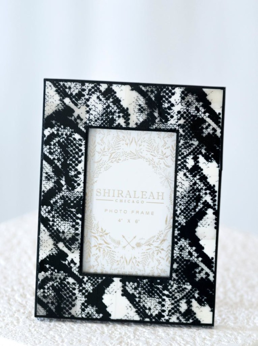 Shiraleah Shiraleah Paris Snake Print 4 X 6 Picture Frame, Black | Home