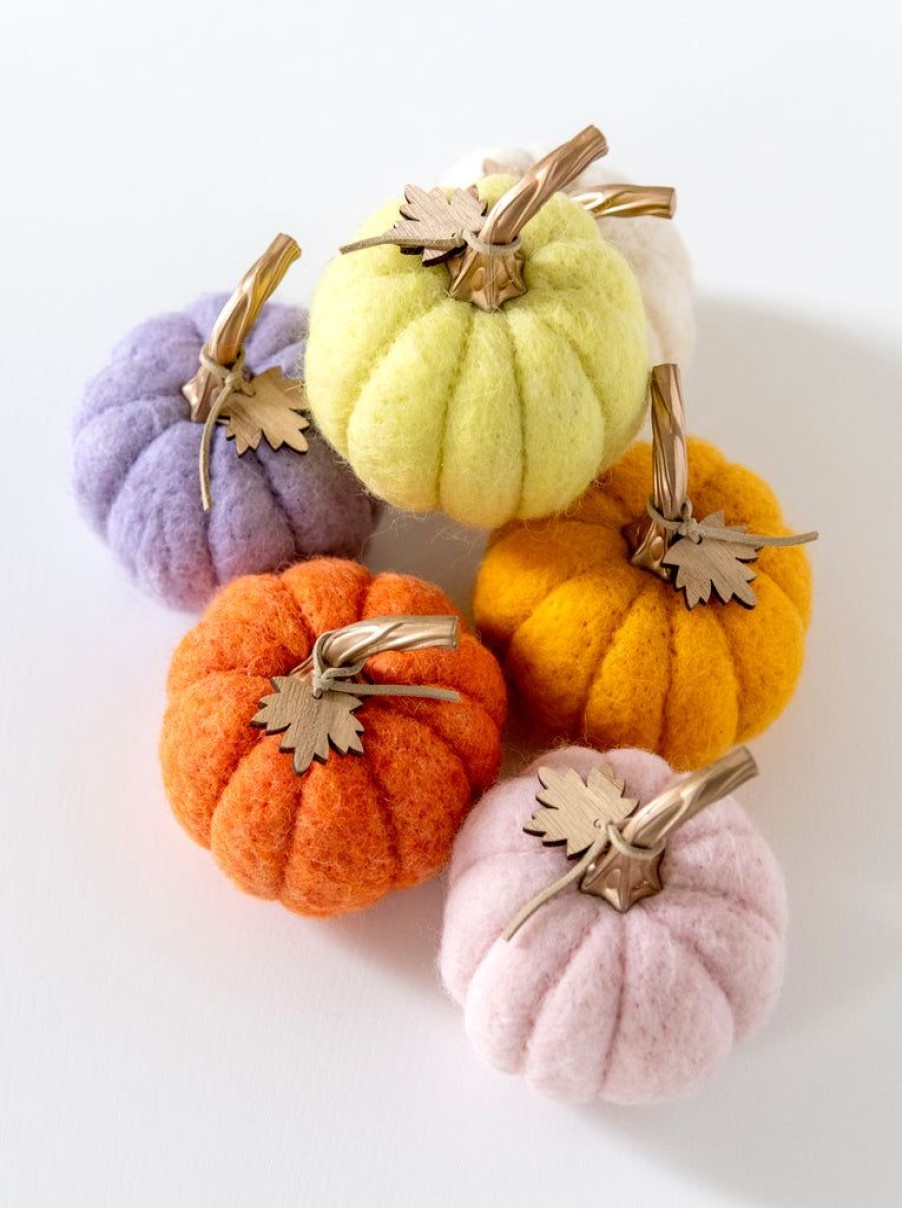 Shiraleah Shiraleah New Harvest Set Of 6 Assorted Pumpkins, Multi | Home