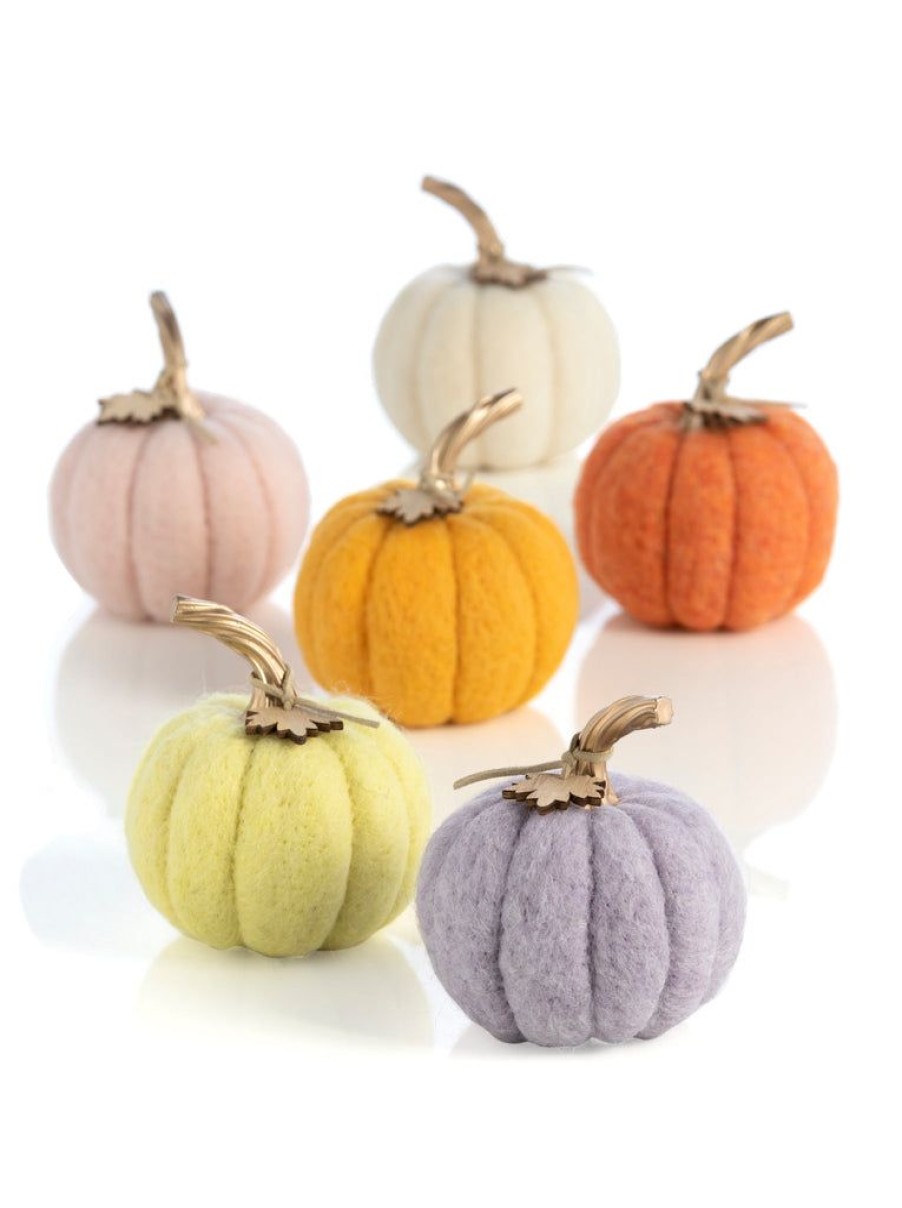 Shiraleah Shiraleah New Harvest Set Of 6 Assorted Pumpkins, Multi | Home