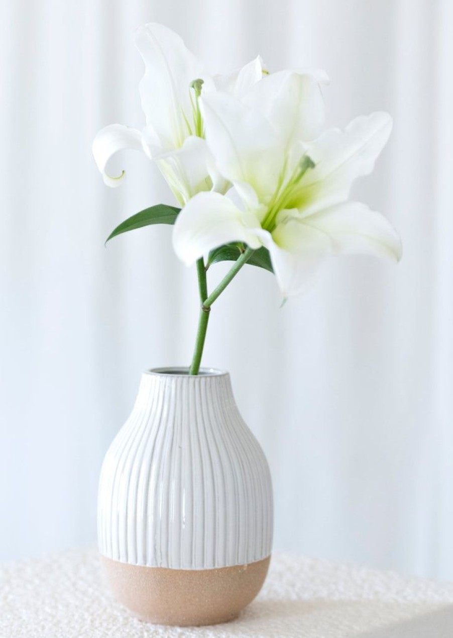 Shiraleah Shiraleah Loma Decorative Vase With Terracotta Base, White | Home