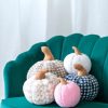 Shiraleah Shiraleah Small Sherpa Pumpkin Pillow, Pink | Home