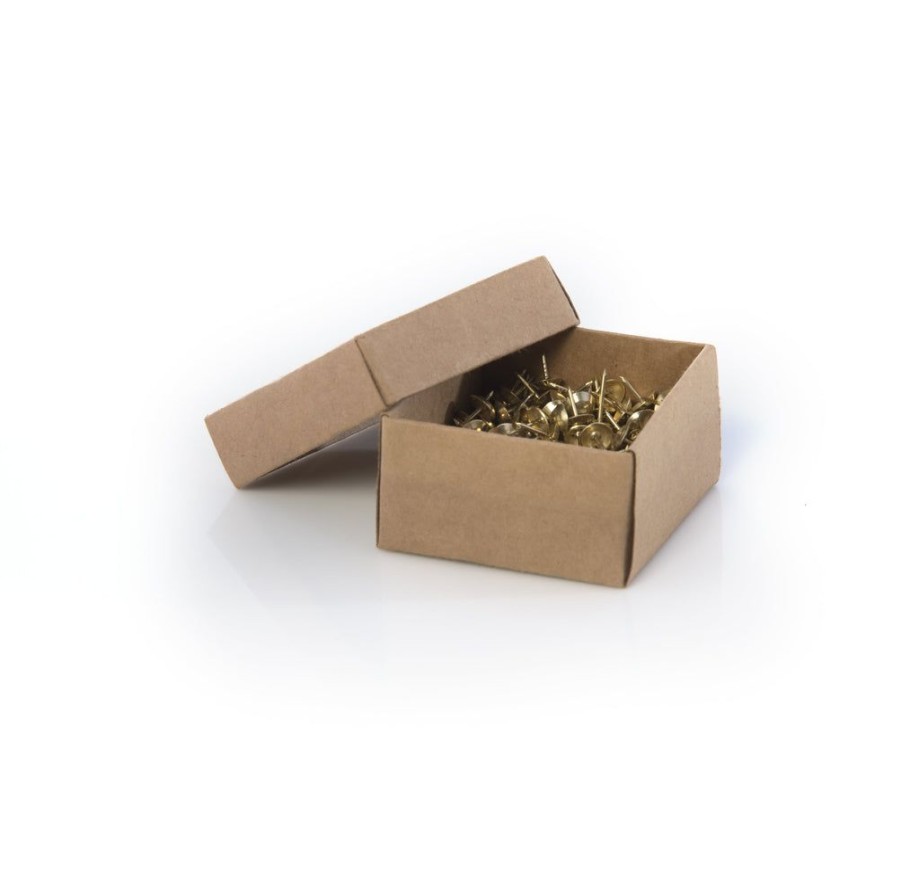 Shiraleah Shiraleah Wallace Box Of 200 Pins | Home