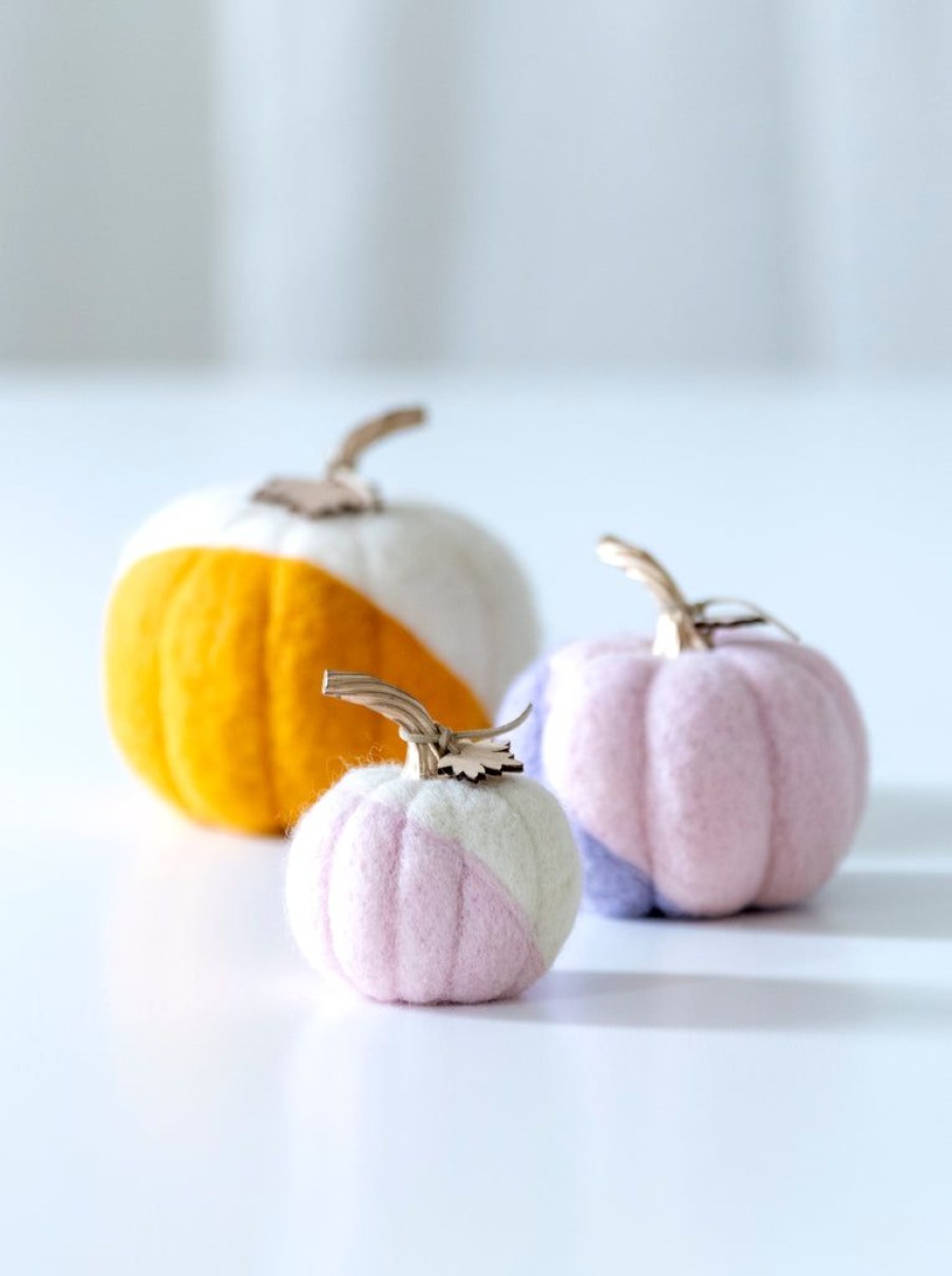 Shiraleah Shiraleah New Harvest Set Of 3 Assorted Pumpkins, Multi | Home