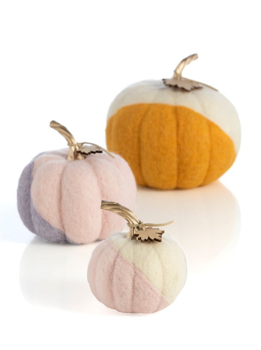 Shiraleah Shiraleah New Harvest Set Of 3 Assorted Pumpkins, Multi | Home