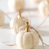 Shiraleah Shiraleah New Harvest 7 Pumpkin Garland, Ivory | Home